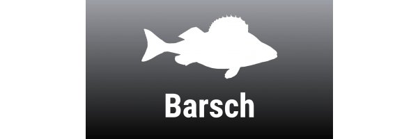 Barsch