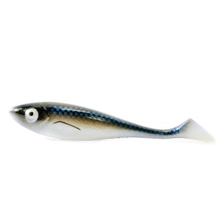 45 - Blue Whitefish
